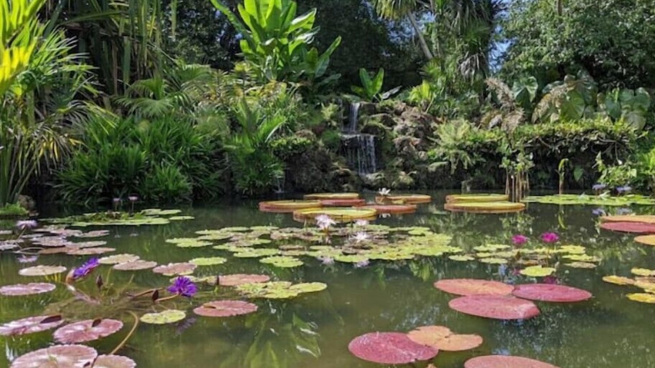 Photo of Outdoor in Naranja