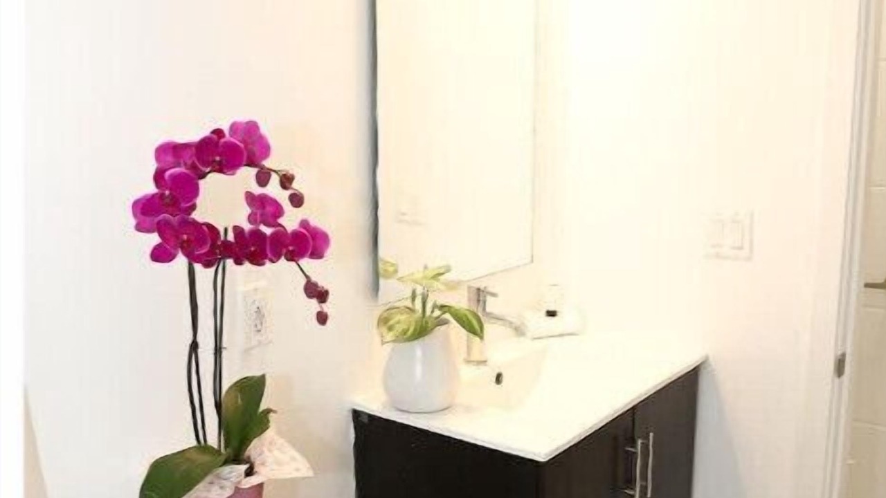 Photo of Bathroom in Naranja