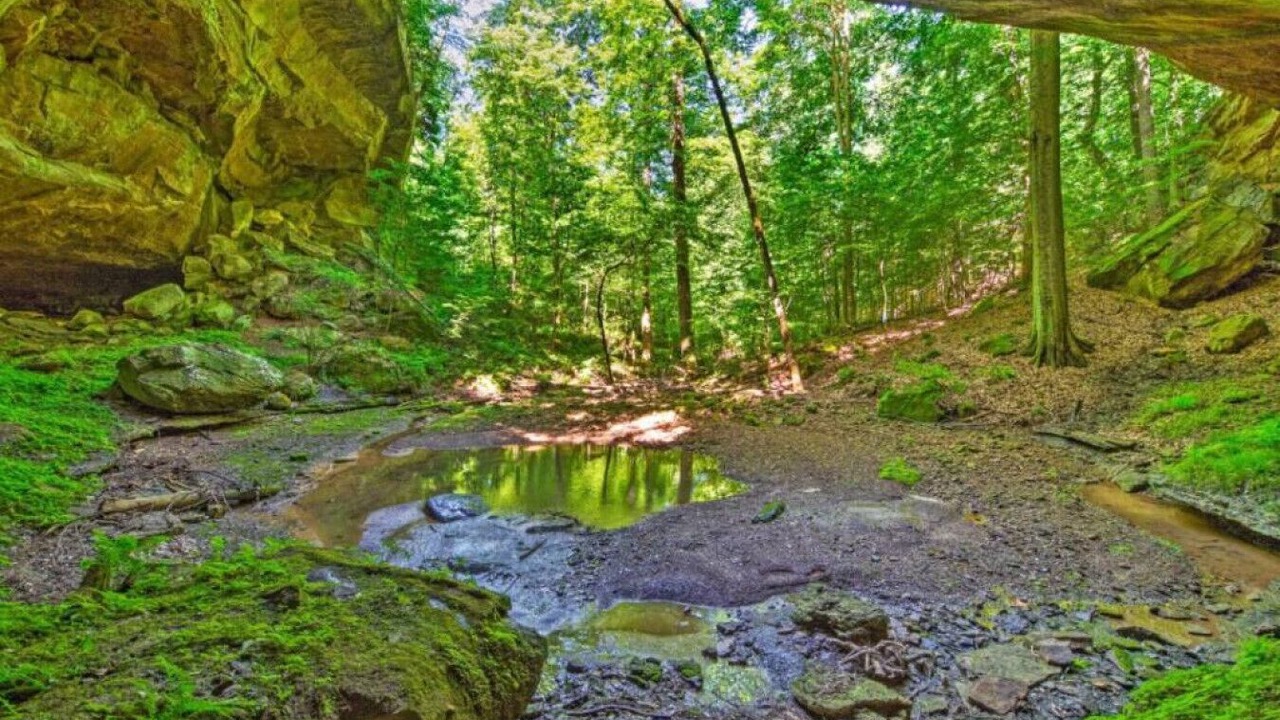 Photo of Others in Mammoth Cave