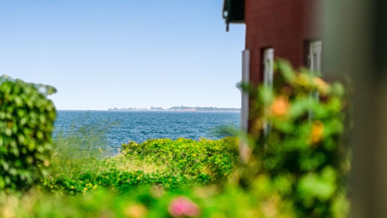 Photo of Others in Vejlby Fed