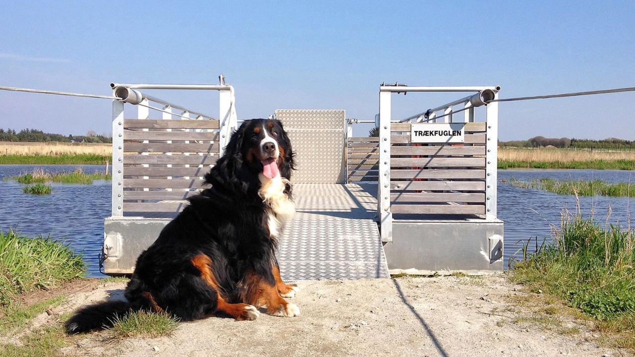 Photo of Outdoor in Roslev