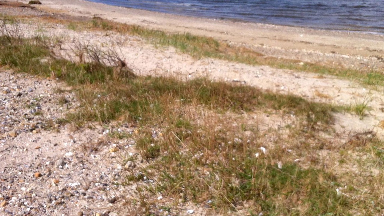 Photo of Outdoor in Roslev