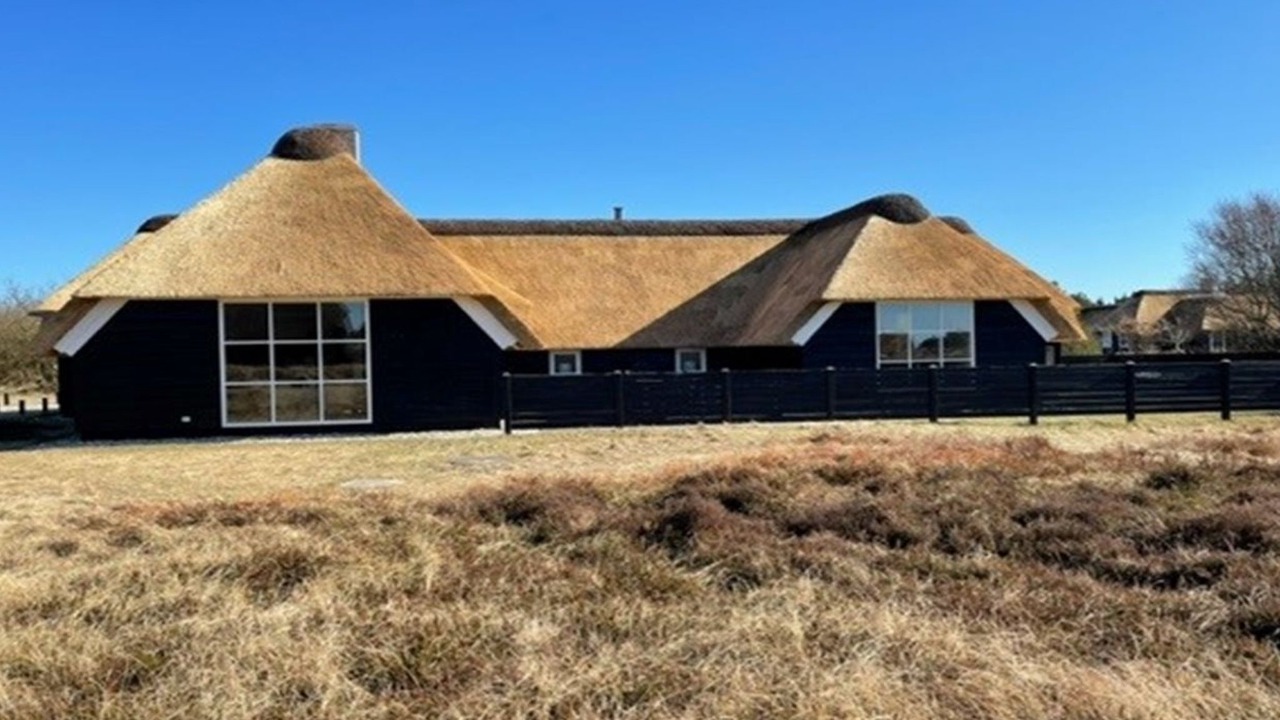 Photo of Others in Blavand Strand