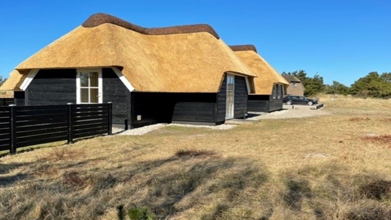 Photo of Others in Blavand Strand