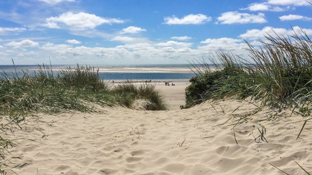Photo of Outdoor in Blavand Strand