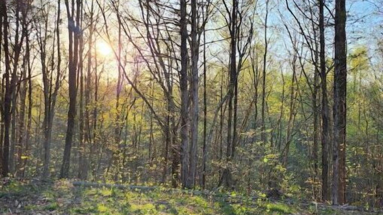 Photo of Outdoor in Silver Point