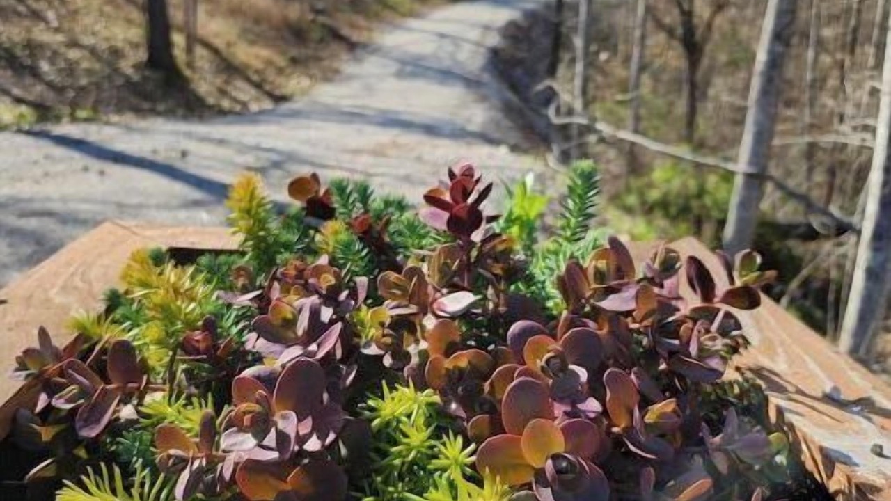 Photo of Outdoor in Silver Point