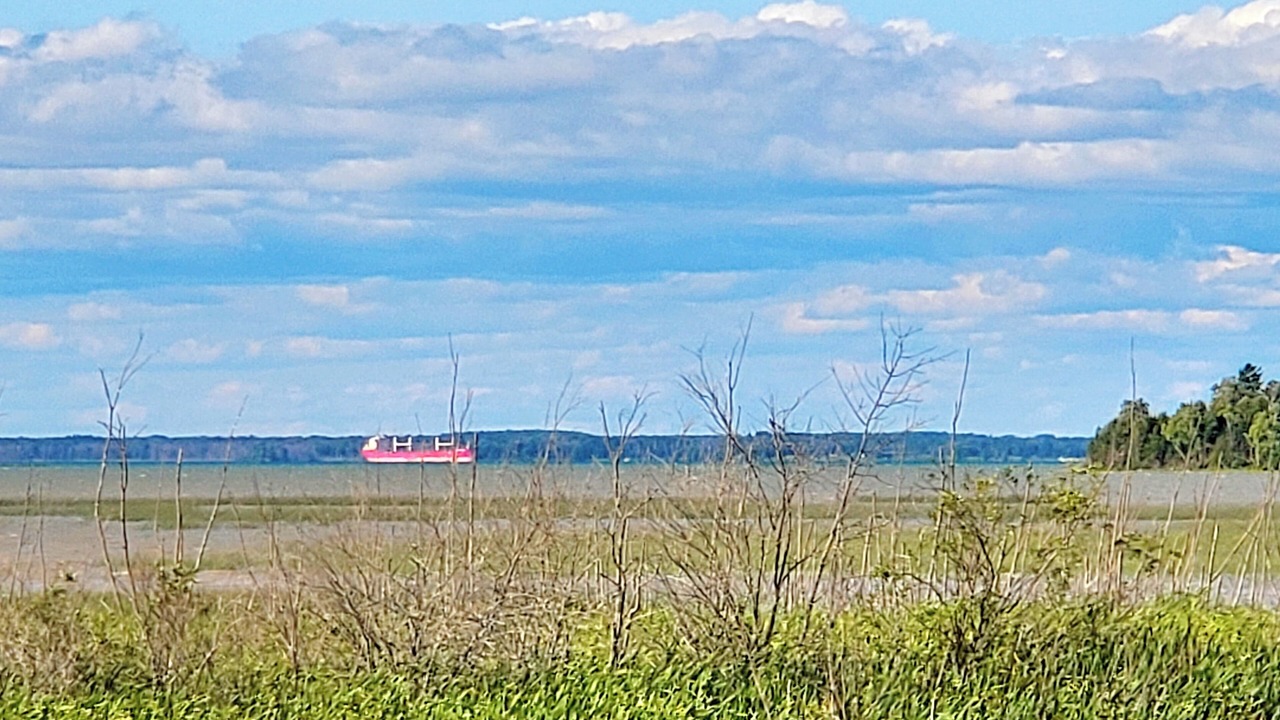 Photo of Others in Kincheloe
