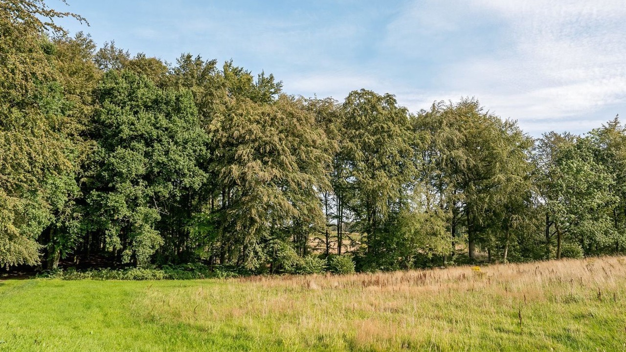 Photo of Outdoor in Diernæs