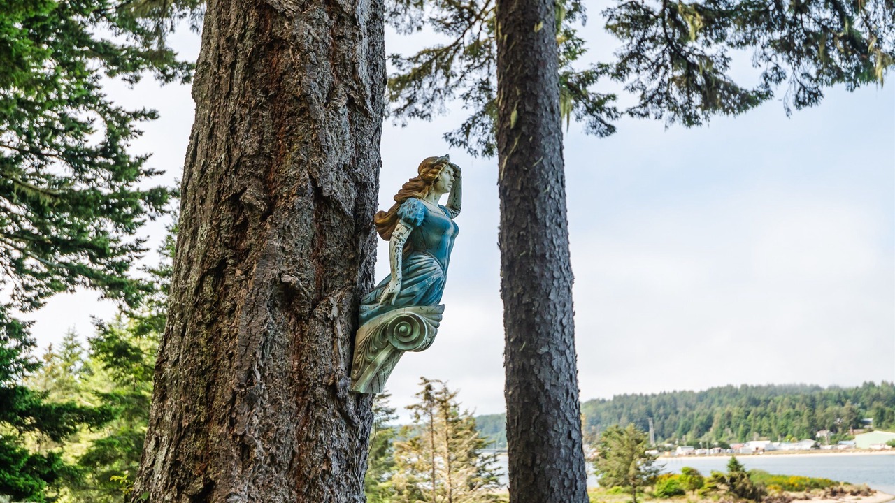 Photo of Outdoor in Barview