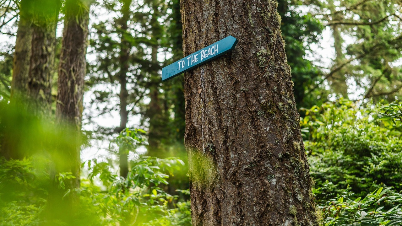 Photo of Others in Barview