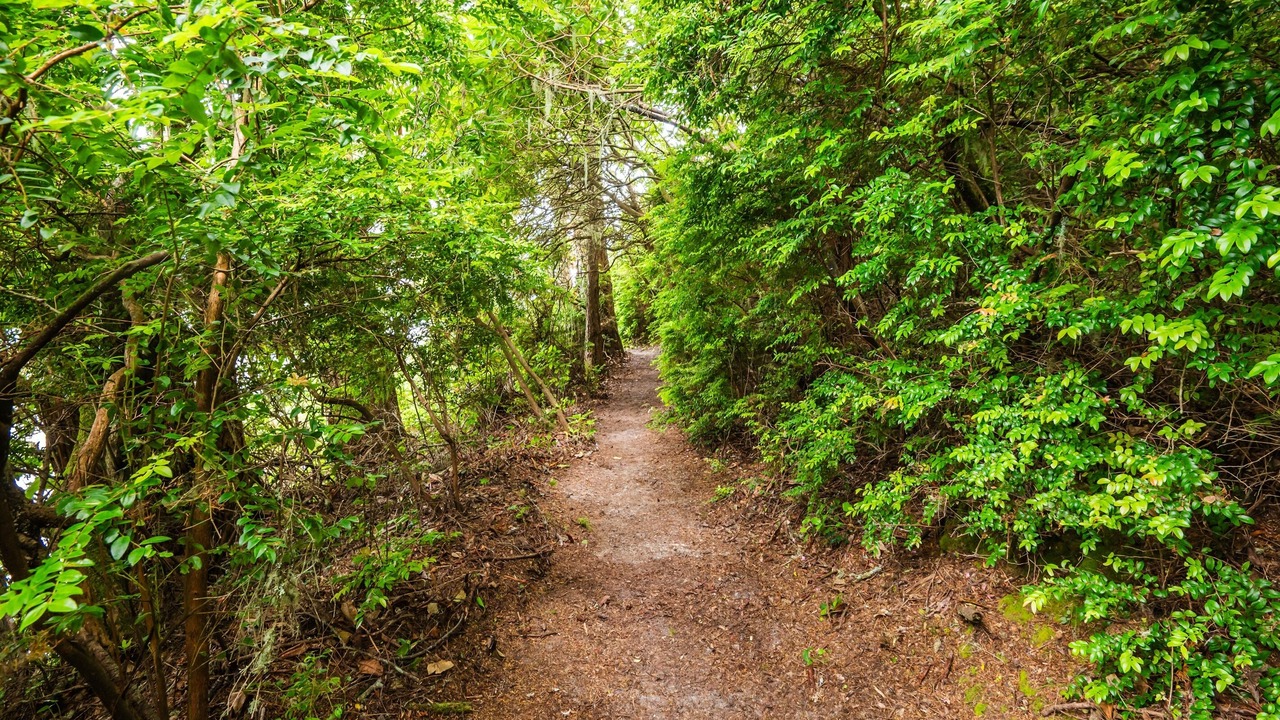 Photo of Others in Barview