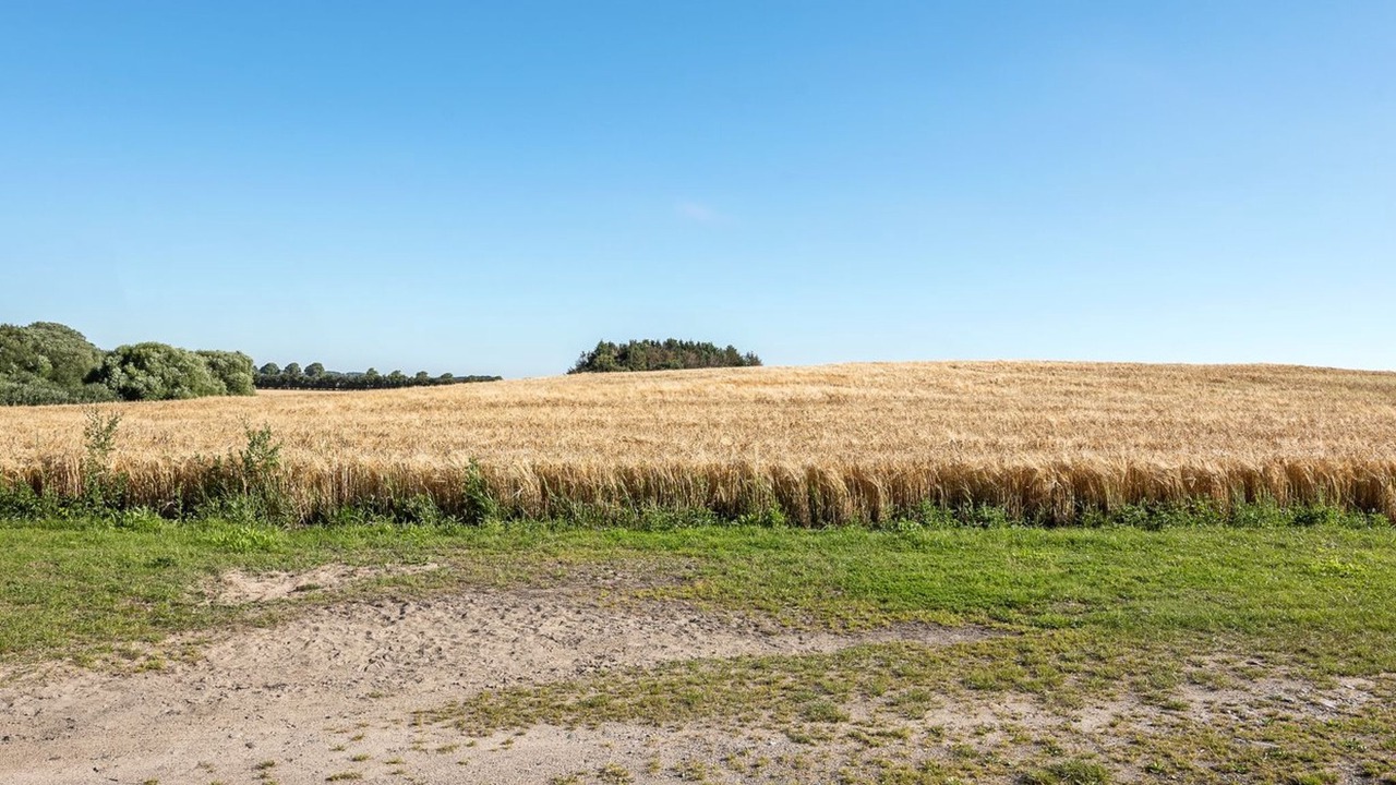 Photo of Outdoor in Humble
