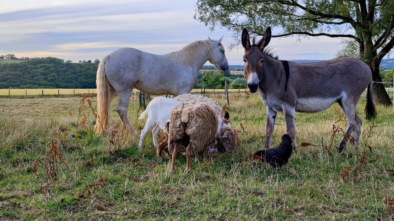 Photo of Outdoor in Bournonville