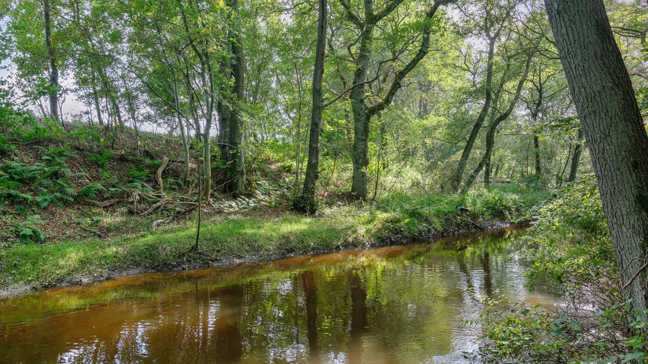 Photo of Outdoor in Asaa