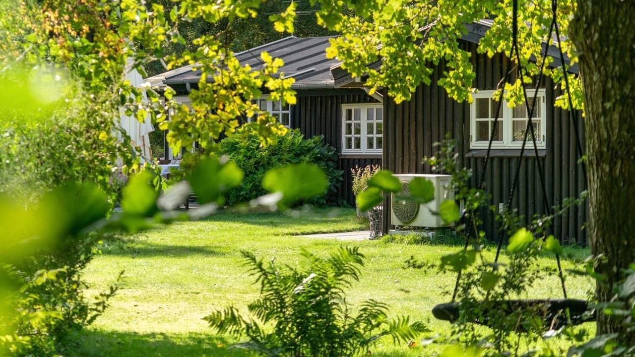 Photo of Others in Asaa