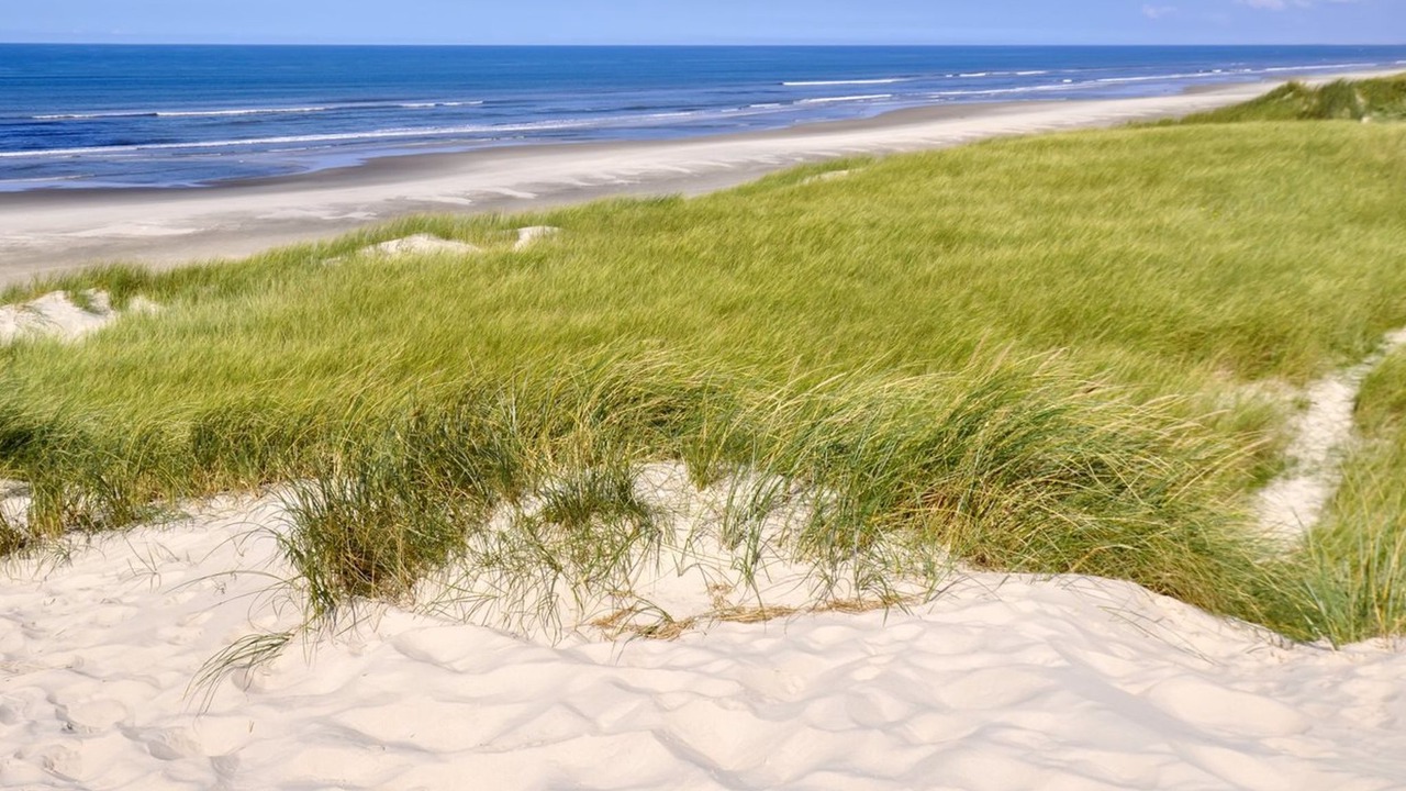 Photo of Outdoor in Grærup Strand