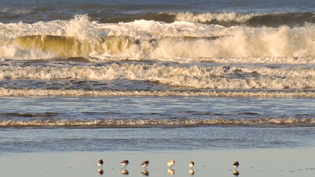 Photo of Outdoor in Grærup Strand