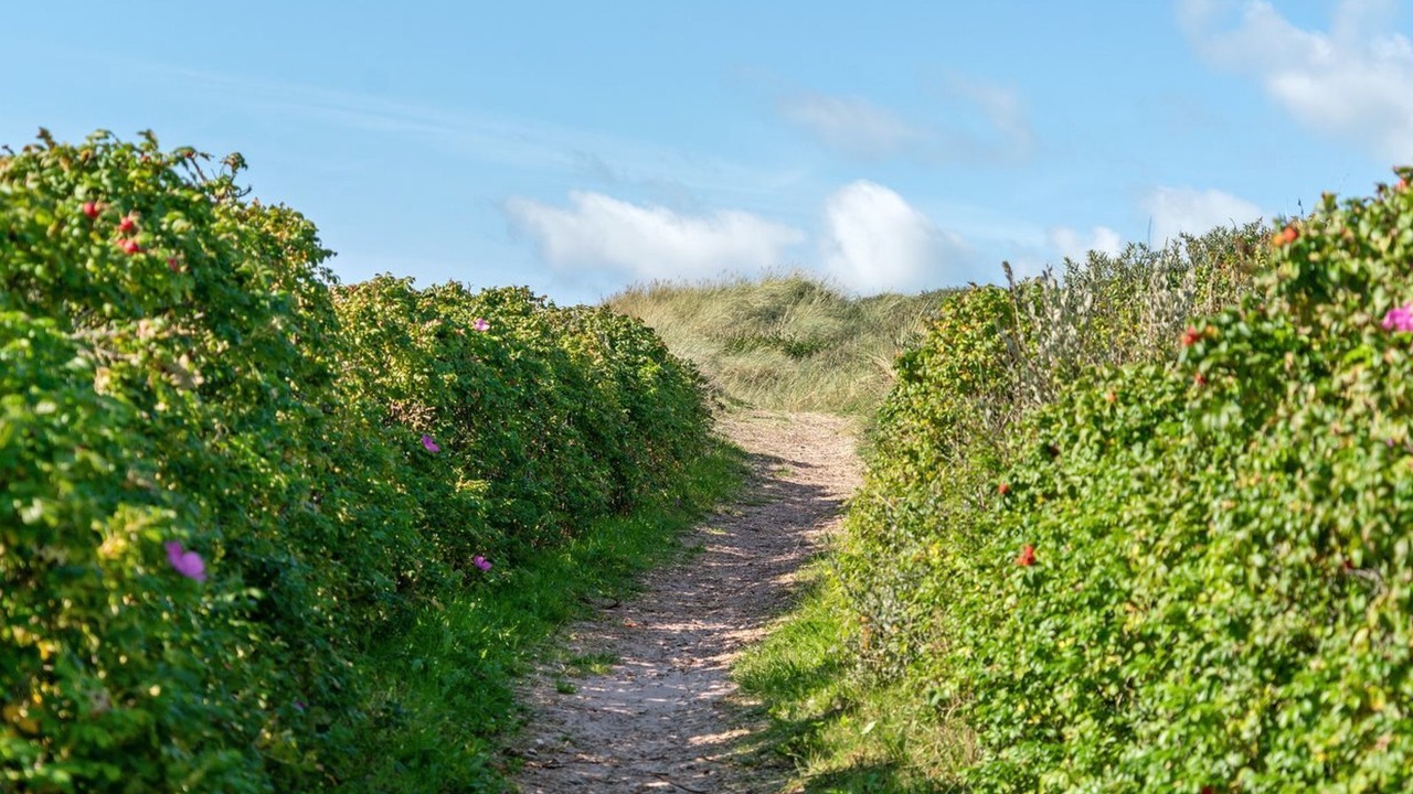Photo of Outdoor in Grønhøj