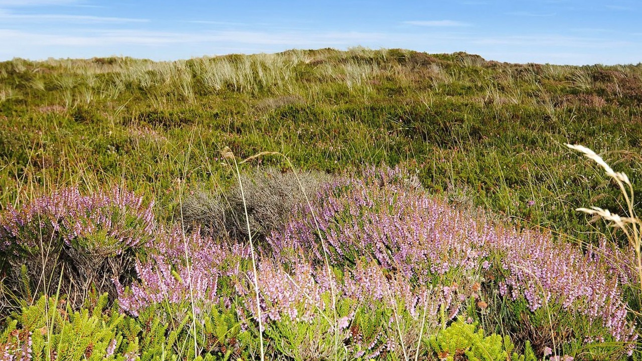 Photo of Outdoor in Nørklit