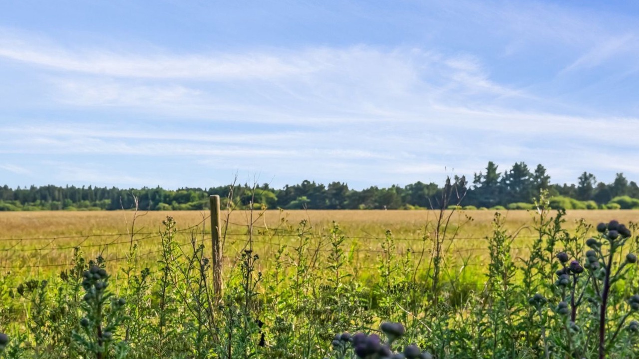 Photo of Outdoor in Nørklit