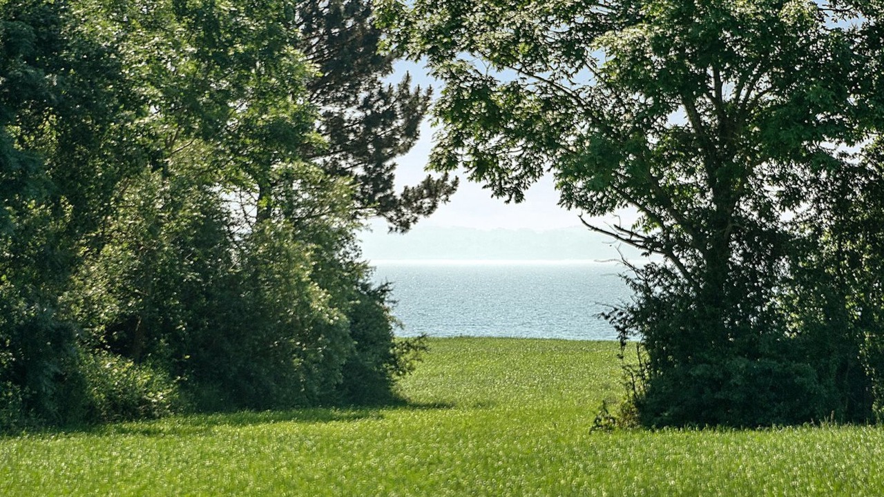 Photo of Outdoor in Kegnæshøj