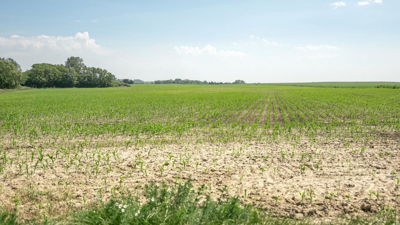 Photo of Outdoor in Kegnæshøj