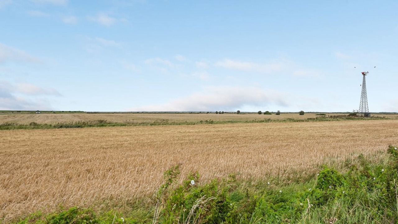 Photo of Outdoor in Ballum