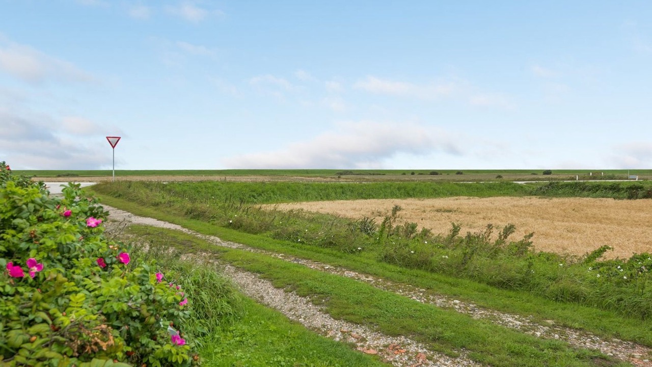Photo of Outdoor in Ballum