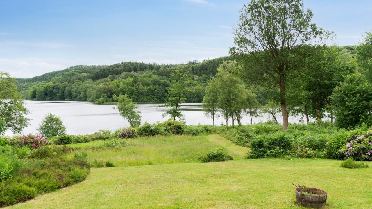 Photo of Others in Silkeborg