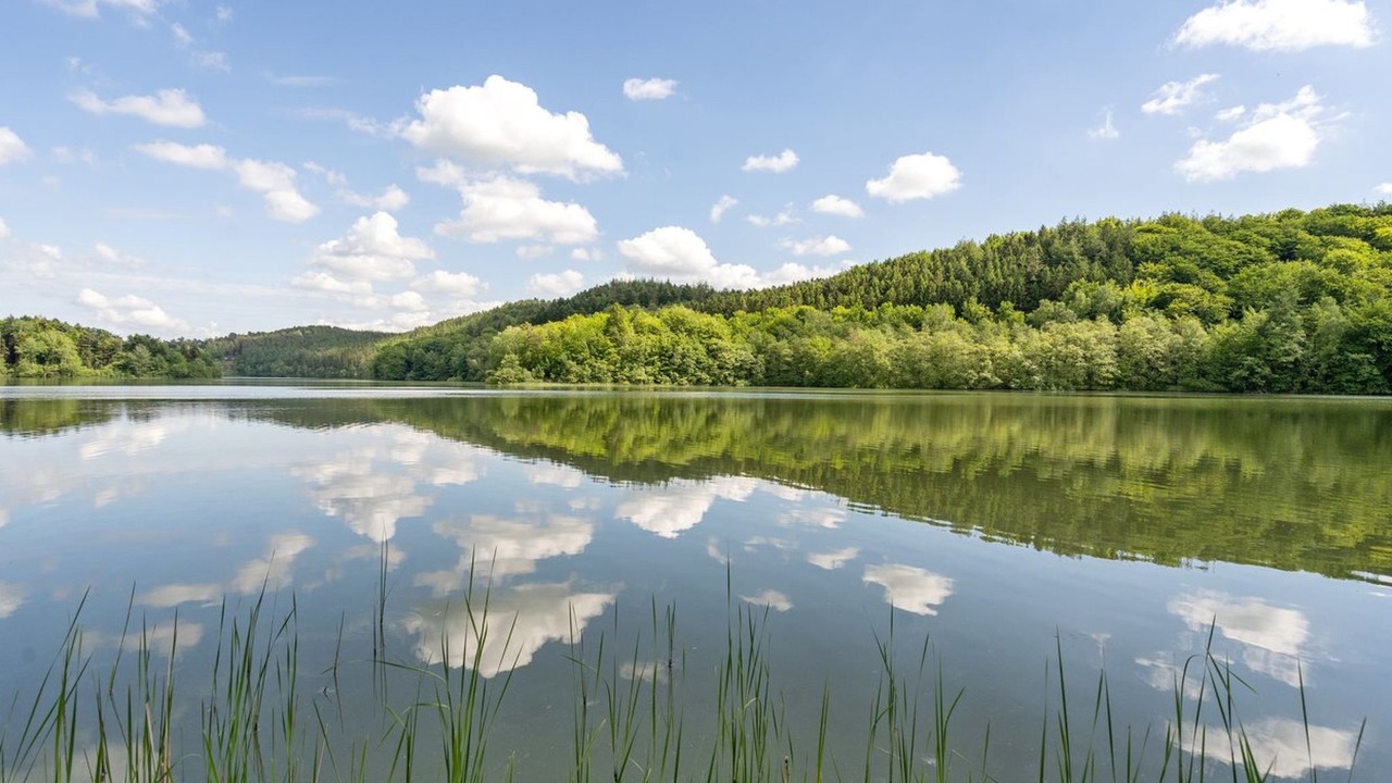 Photo of Others in Silkeborg