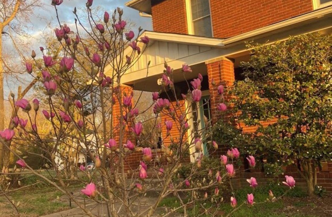 Photo of Outdoor in South Boston