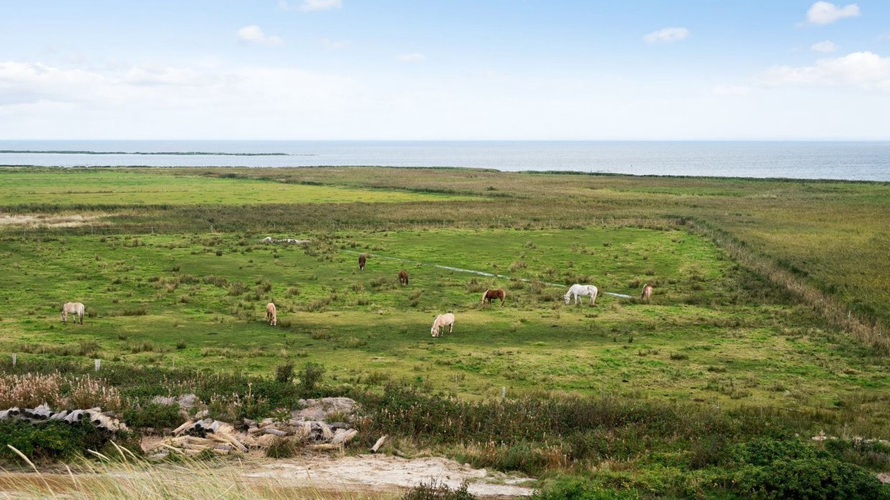Photo of Outdoor in Haurvig