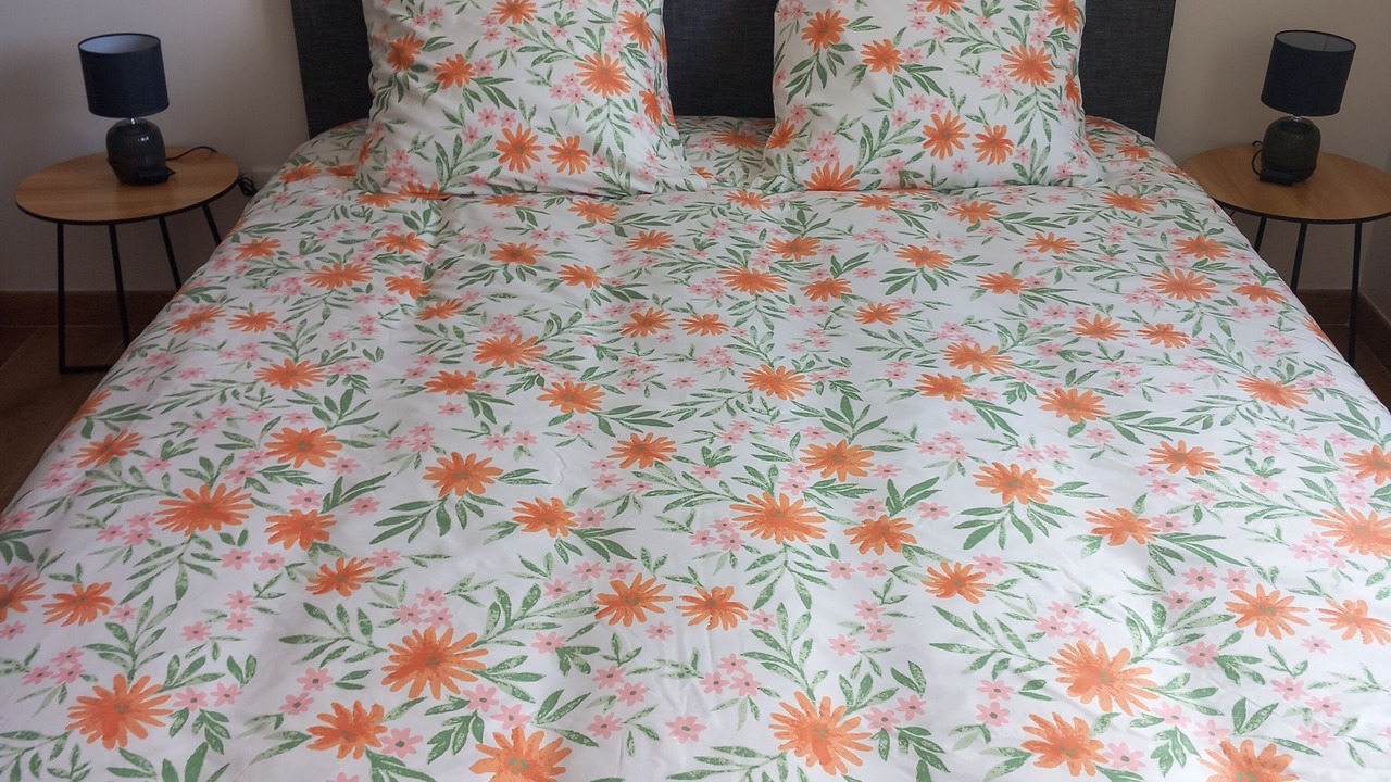 Photo of Bedroom in Frespech