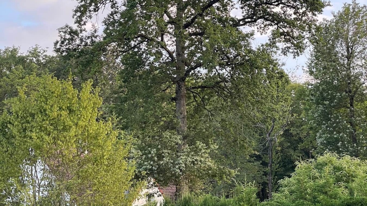 Photo of Others in Montcorbon