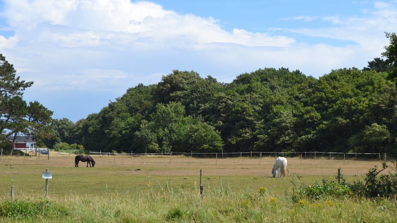 Photo of Others in Rømø Kirkeby