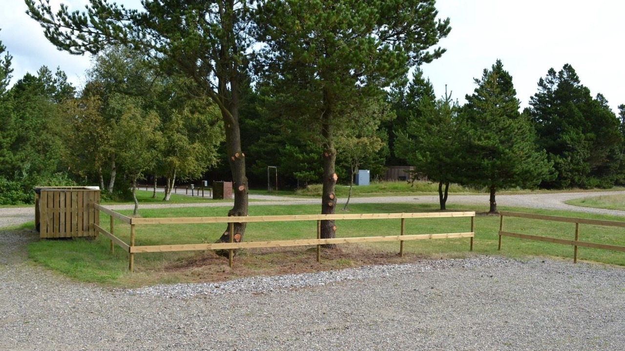 Photo of Others in Havneby