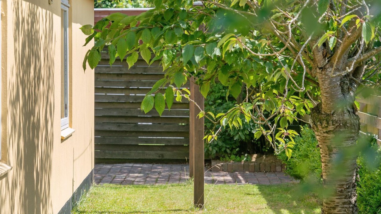 Photo of Others in Ribe