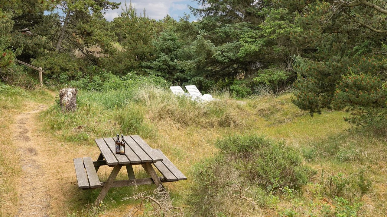 Photo of Outdoor in Vejers