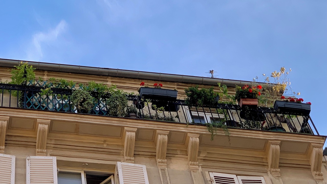 Photo of Outdoor in Montmartre
