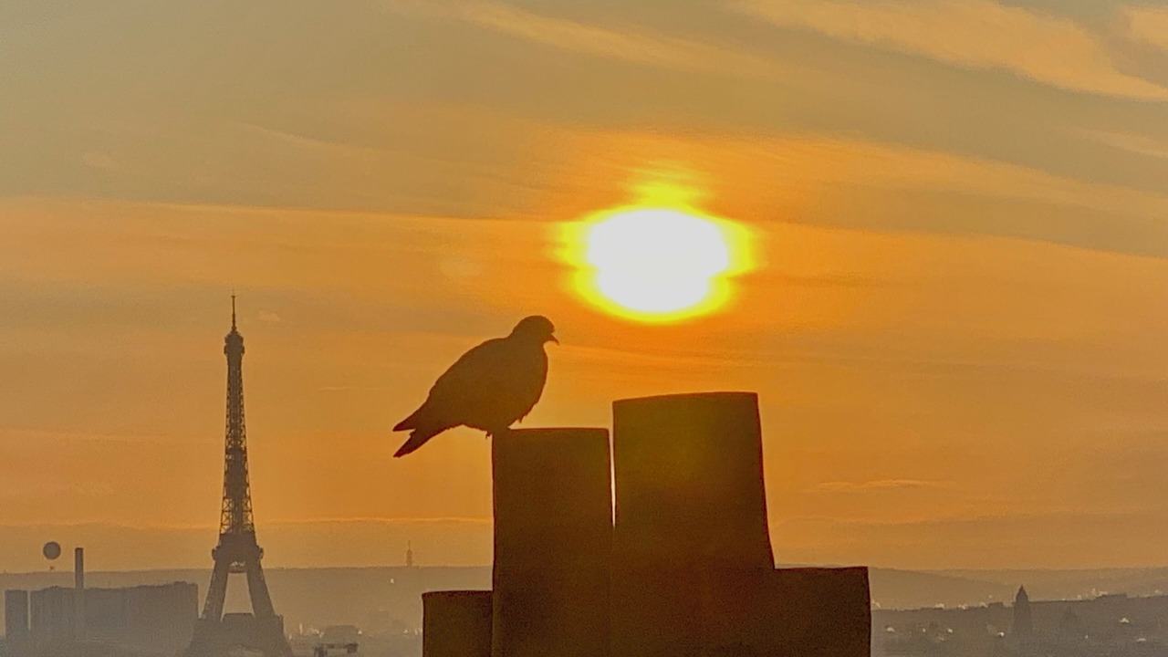 Photo of Outdoor in Montmartre
