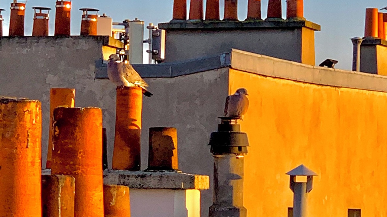 Photo of Outdoor in Montmartre