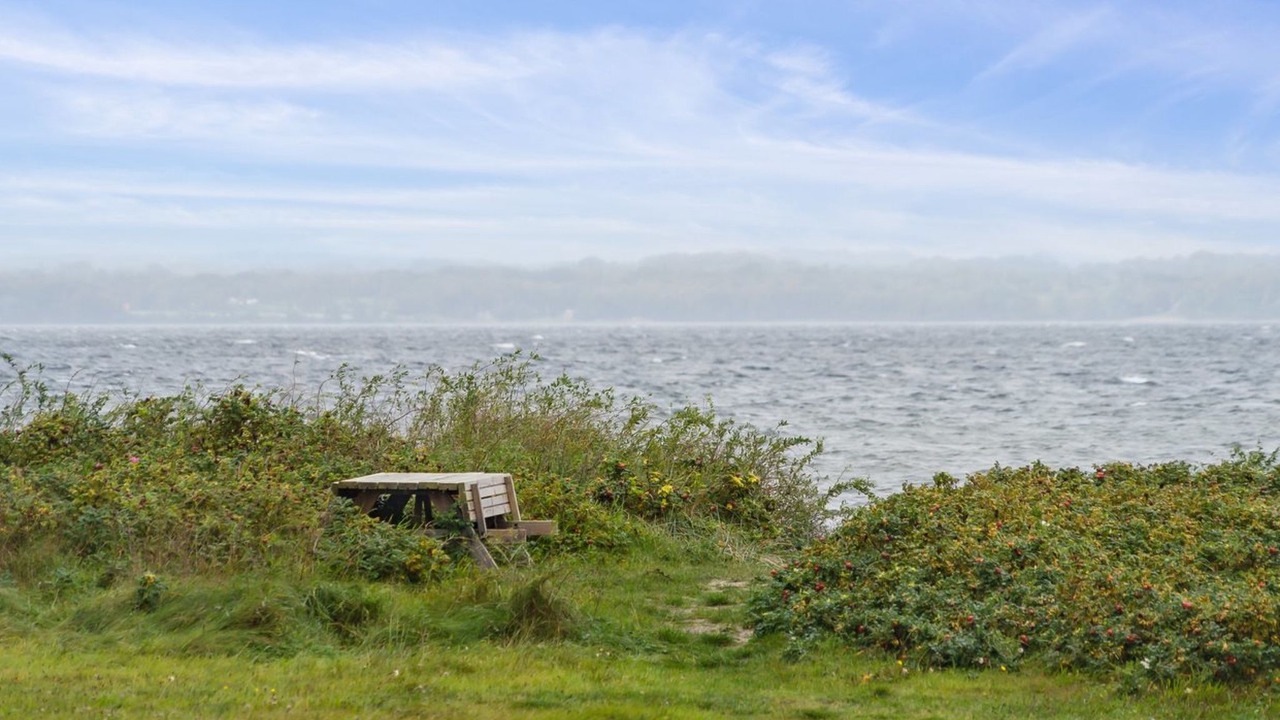 Photo of Outdoor in Tranekaer