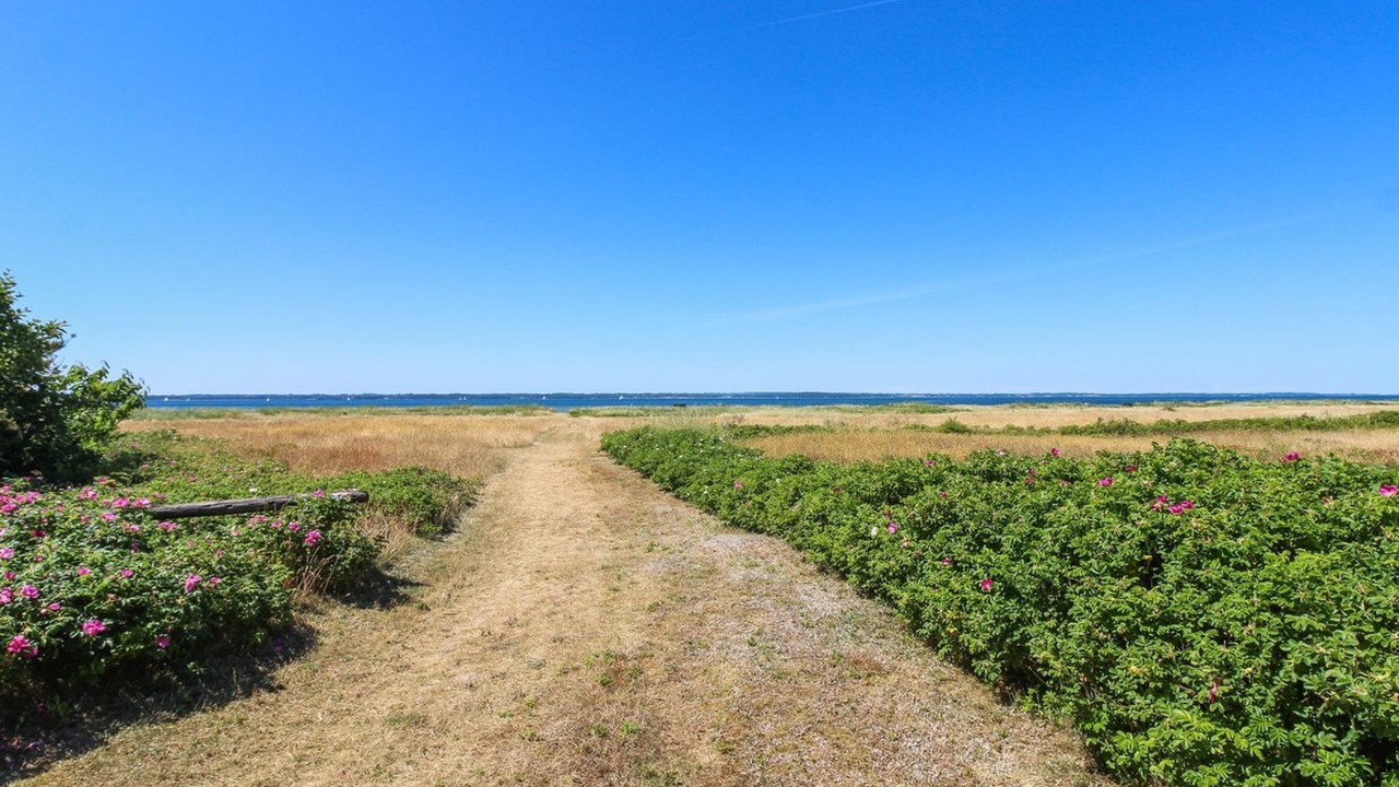 Photo of Outdoor in Tranekaer