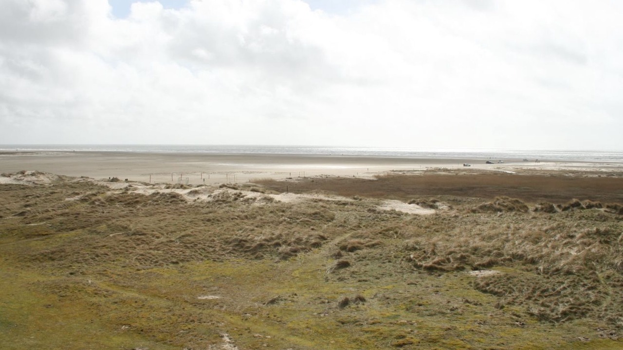 Photo of Others in Rindby Strand