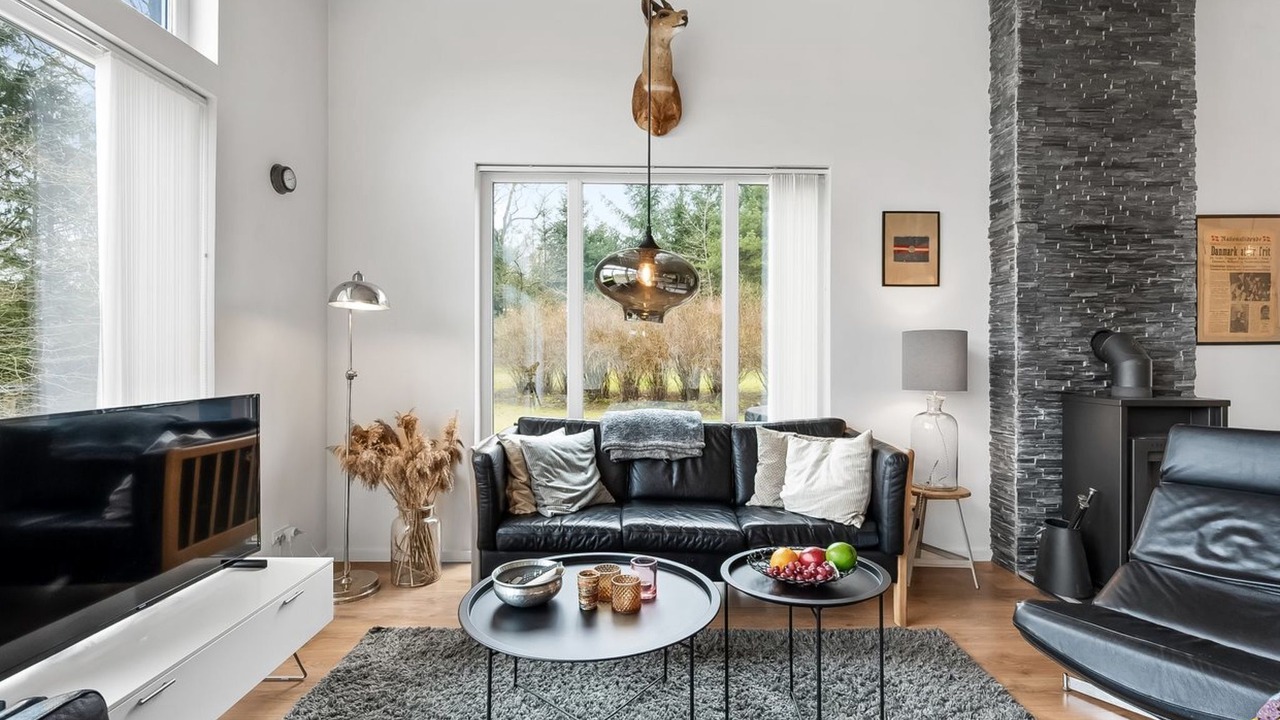 Photo of Livingroom in Hojslev
