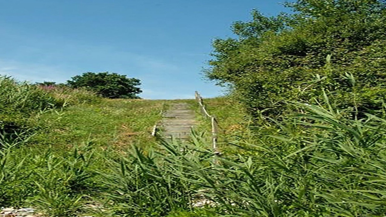 Photo of Outdoor in Fynshav