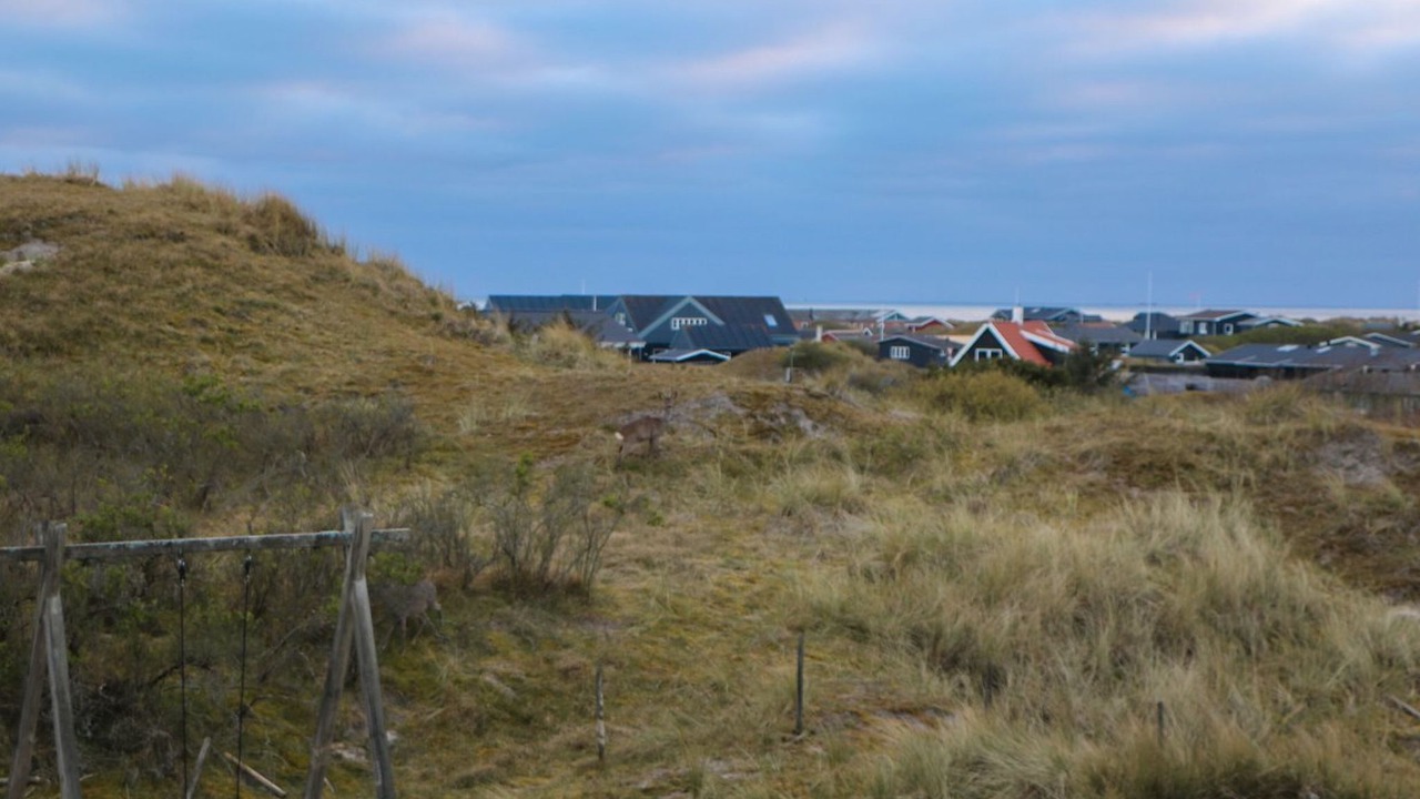 Photo of Others in Rindby Strand