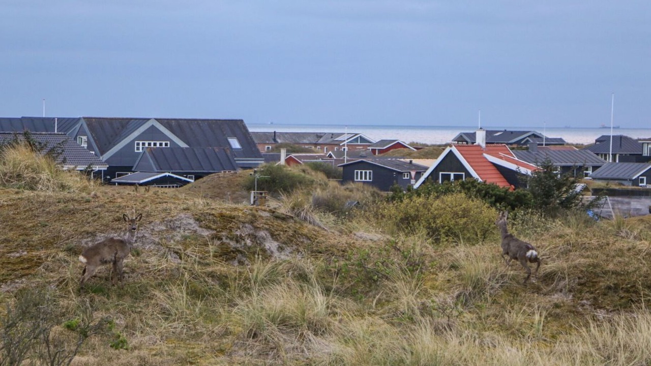 Photo of Others in Rindby Strand