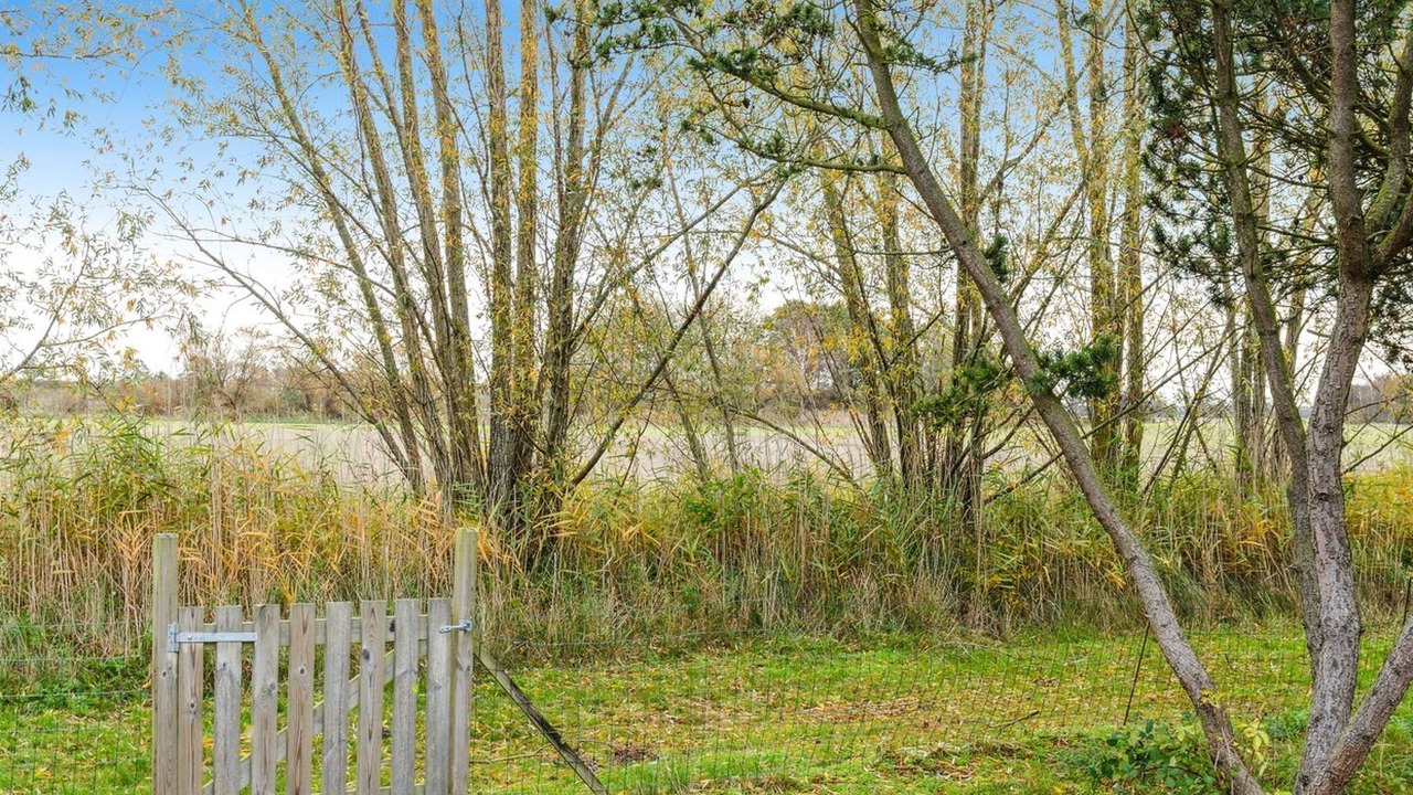 Photo of Others in Kramnitse